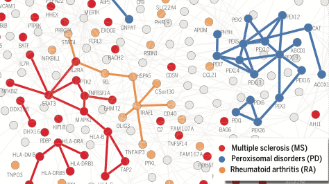 A graphic showing multiple sclerosis