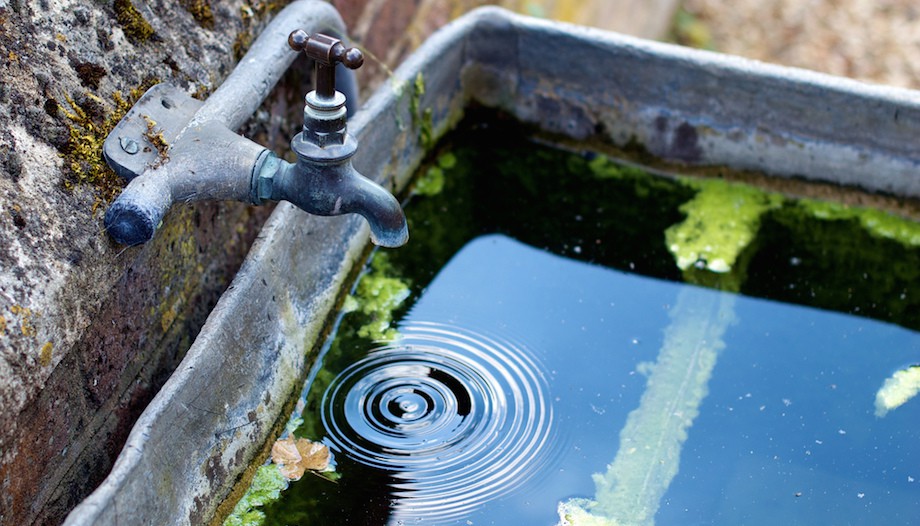 water-dripping-from-faucet