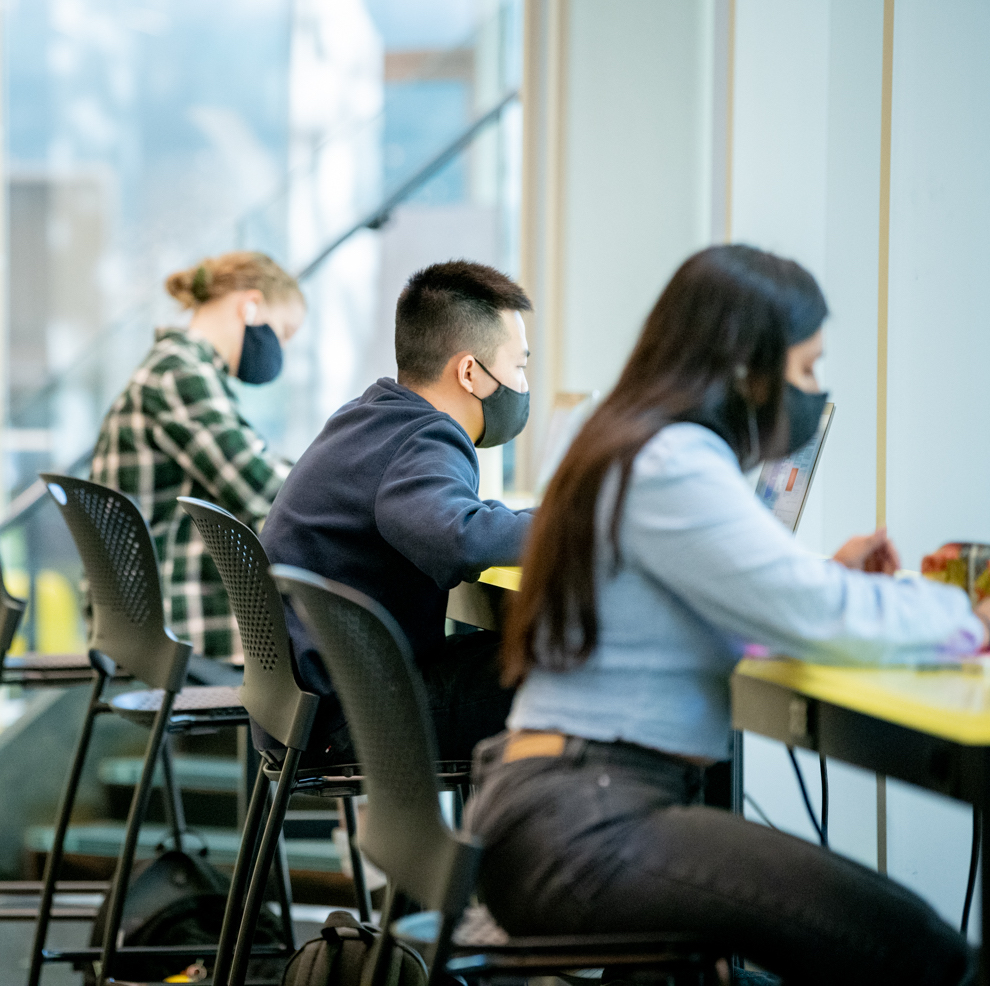 students working on computers