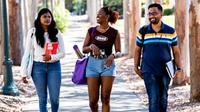 Northeastern students walk on a path surrounded by eucalyptus trees at Mills College on June 11, 2022. Photo by Ruby Wallau for Northeastern University