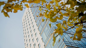 a view of Northeastern University's West Village H building with a tree branch in the foreground