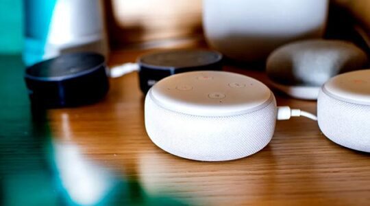 Two white Alexa speakers and two black Alexa speakers sit on a table