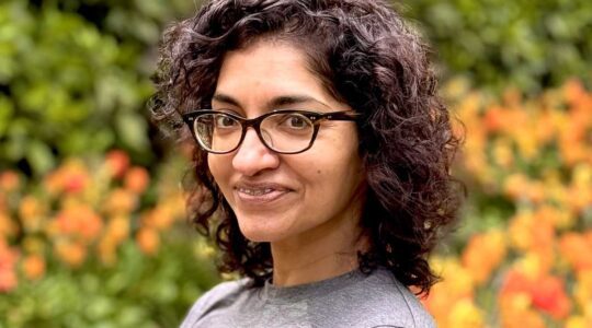 Amal Ahmed