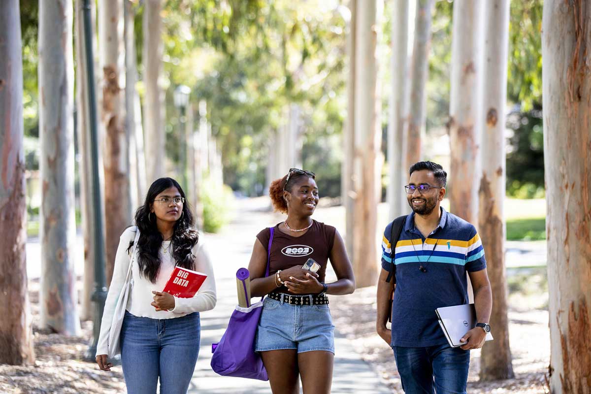 Three students walk along a sidewalk at the Oakland campus. The sidewalk is lined by tall trees at equal distances.