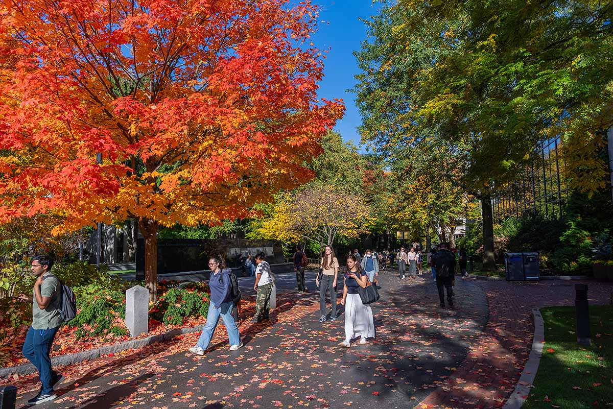 Students walking between classes on a fall day on Northeastern's campus