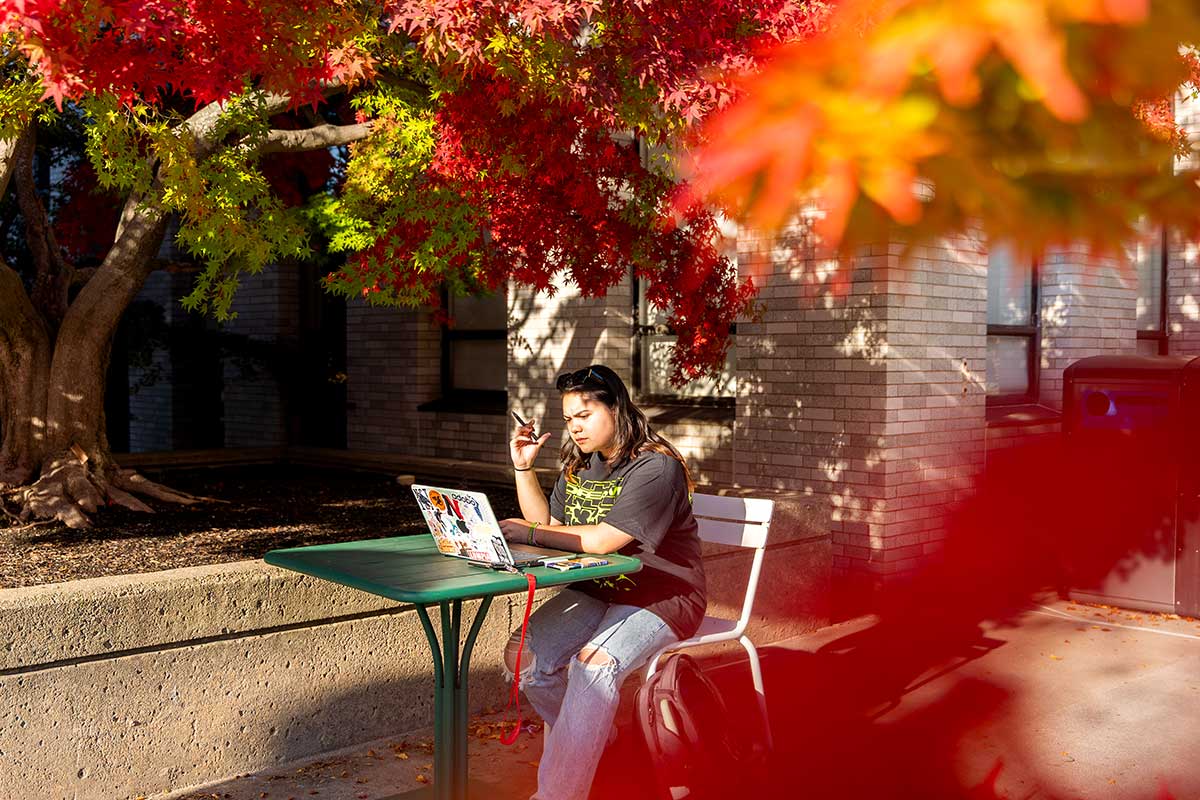 A student sits at a table with an open laptop in a Northeastern courtyard, surrounded by trees displaying fall foliage