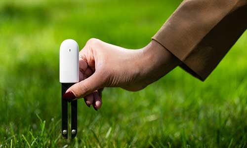 A hand places a sensor for a smart irrigation system into a grassy lawn. Photo by Alyssa Stone/Northeastern University